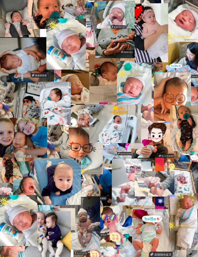 螢幕擷取畫面 2023 06 09 103947 e1686278504152